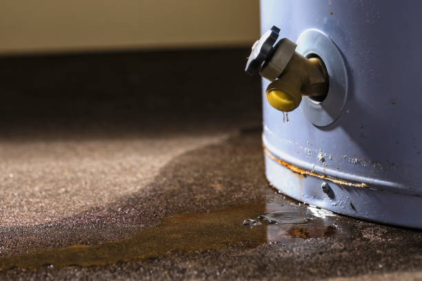 Best Local water damage restoration  in Virginia Beach, VA