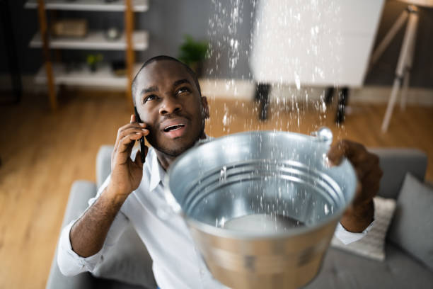 Best Flood restoration services  in Virginia Beach, VA