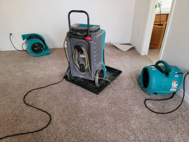 Best Water damage restoration cost  in Virginia Beach, VA