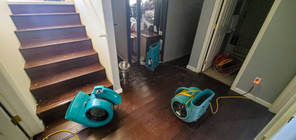 Best Professional water damage repair  in Virginia Beach, VA