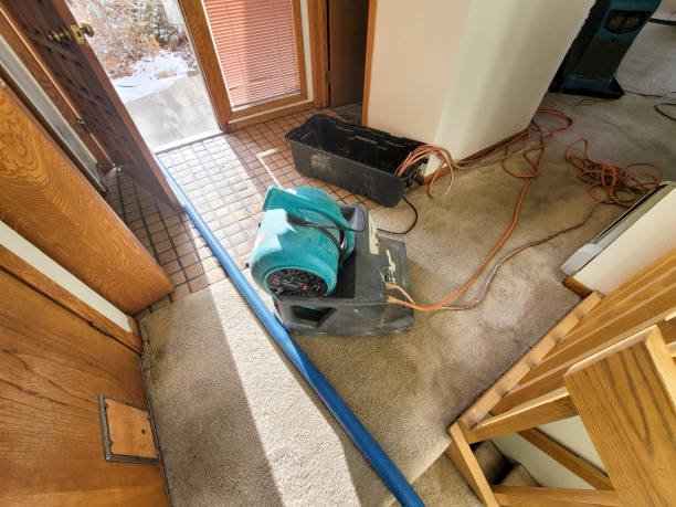 Best Water damage restoration specialists  in Virginia Beach, VA
