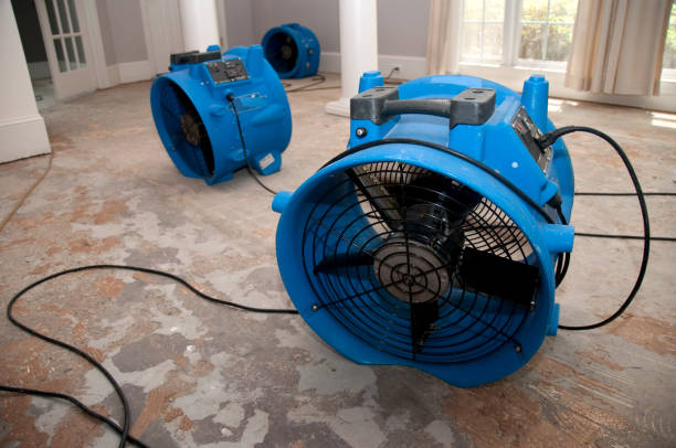 Best Water damage restoration near me  in Virginia Beach, VA