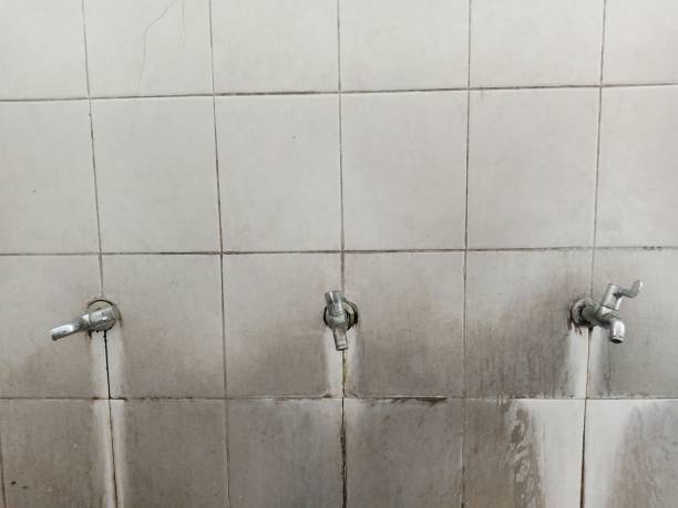 Best Local water damage restoration  in Virginia Beach, VA