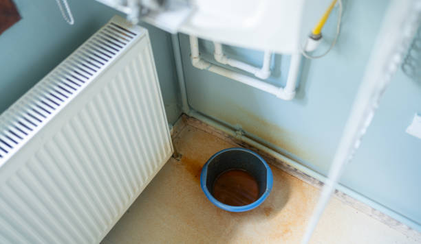 Best Local water damage restoration  in Virginia Beach, VA